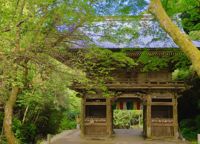 山門 by shinya2219 (ID:11900175) 写真共有サイトPHOTOHITO