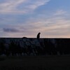 7Artisans 50mm F0.95 50095XB [tWtCp]ŎBeʐ^
