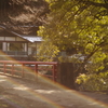 Primoplan 75mmF1.9 II [M42p]ŎBeʐ^