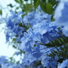 FinePix F550EXRŎBeʐ^