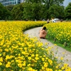 FinePix X100ŎBeʐ^