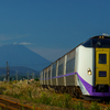 Carl Zeiss Vario-Sonnar T* 70-300mm F4-5.6ŎBeʐ^