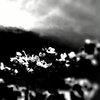 TCo[Vbg DSC-W830ŎBeʐ^
