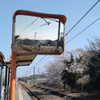Xperia 5 V SO-53D docomoŎBeʐ^
