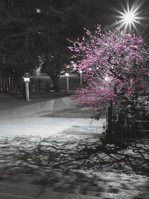 光と影との間に by アツ☆ （ID：11639630） 写真共有サイトPHOTOHITO