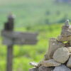 APO-LANTHAR 90mm F3.5 SL Close Focus (/غ PK-AR)ŎBeʐ^