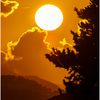 150-600mm F5-6.3 DG OS HSM Sports [Lmp]ŎBeʐ^