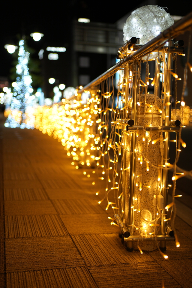 キラキラひかる by TIDAS (ID:12166171) 写真共有サイトPHOTOHITO