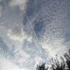 PowerShot SX30 ISŎBeʐ^