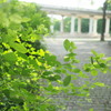 M.ZUIKO DIGITAL 17mm F1.8 [ubN]ŎBeʐ^