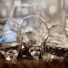 FA85mmF1.4ED[IF]ŎBeʐ^