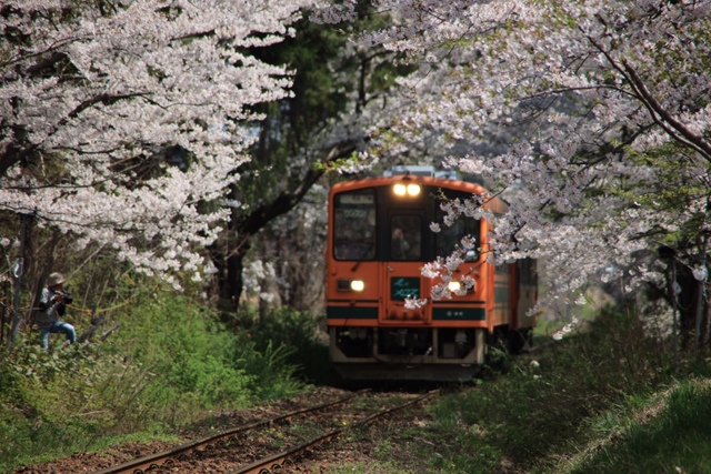 津軽鉄道 芦野公園駅付近 by hide1022 (ID:11752984) 写真共有サイトPHOTOHITO
