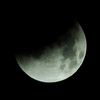 COOLPIX P610 [ubN]ŎBeʐ^