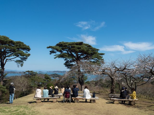 春の陽ざしの中で by konabe6303 （ID：12371602） 写真共有サイトPHOTOHITO