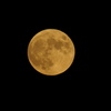 SP AF 200-500mm F/5-6.3 Di LD [IF] (Model A08) (\j[p)ŎBeʐ^