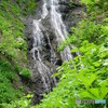 PowerShot A20ŎBeʐ^