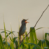 tWmY XF150-600mmF5.6-8 R LM OIS WRŎBeʐ^