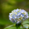 70-180mm F/2.8 Di III VC VXD G2 (Model A065)ŎBeʐ^