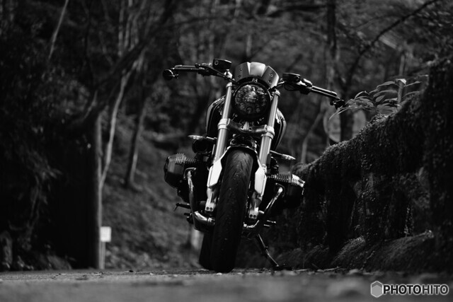 異世界線のイキモノ by noritomo （ID：11894250） 写真共有サイト:PHOTOHITO