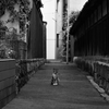 FA50mmF1.4ŎBeʐ^