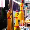 PowerShot SX130 ISで撮影した写真