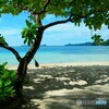 COOLPIX 7600ŎBeʐ^
