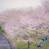 16mm F1.4 DC DN [CJLp]ŎBeʐ^