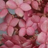 EOS Kiss X7i _uY[LbgŎBeʐ^