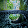 FE 24mm F1.4 GM SEL24F14GMŎBeʐ^