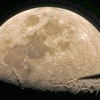 COOLPIX 950ŎBeʐ^
