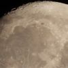 COOLPIX P1100ŎBeʐ^
