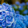 EF40mm F2.8 STMŎBeʐ^