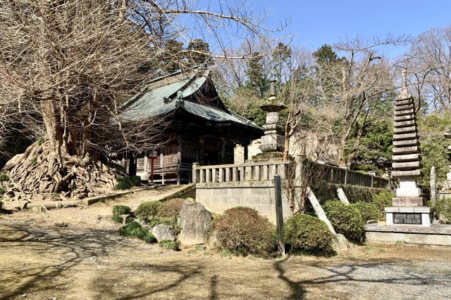 20210316東松山市02 by AzusaAkiyama (ID:12538000) 写真共有サイトPHOTOHITO