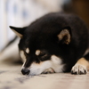 tWmY XF50mmF1.0 R WRŎBeʐ^