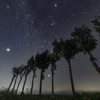 14mm F1.8 DG HSM [Lmp]ŎBeʐ^