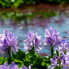 100-400mm F5-6.3 DG DN OS [\j[Ep]ŎBeʐ^