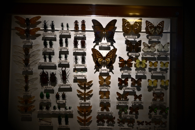 立寄地の風景~栃木県立博物館01 by SATOMURA (ID:12575292) 写真共有サイトPHOTOHITO