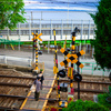 LEICA M9ŎBeʐ^