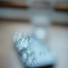 FUJIFILM X-Pro2 {fBŎBeʐ^