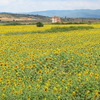 PowerShot S95ŎBeʐ^