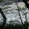 COOLPIX 2100ŎBeʐ^