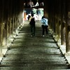 tWmY XF16-50mmF2.8-4.8 R LM WRŎBeʐ^