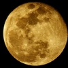 COOLPIX P900ŎBeʐ^