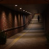 TCo[Vbg DSC-QX100ŎBeʐ^