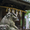 SZ 33mm F1.2 MF [\j[Ep]ŎBeʐ^