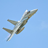 YCR[fW^ ED 300mm F2.8ŎBeʐ^
