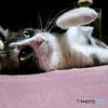 PowerShot S200ŎBeʐ^