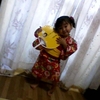 HONEY BEE WX331KŎBeʐ^