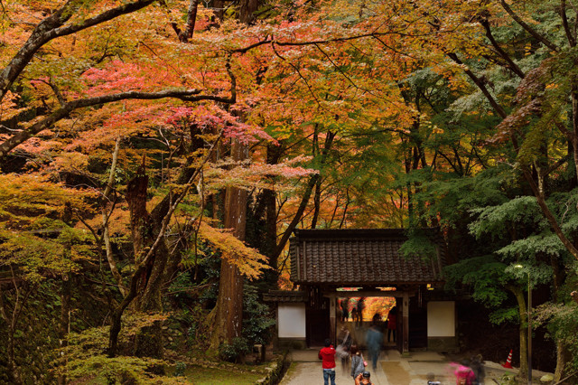 香積寺 by esuqu1 （ID：2975945） 写真共有サイトPHOTOHITO