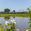 EF28-200mm F3.5-5.6 USMŎBeʐ^
